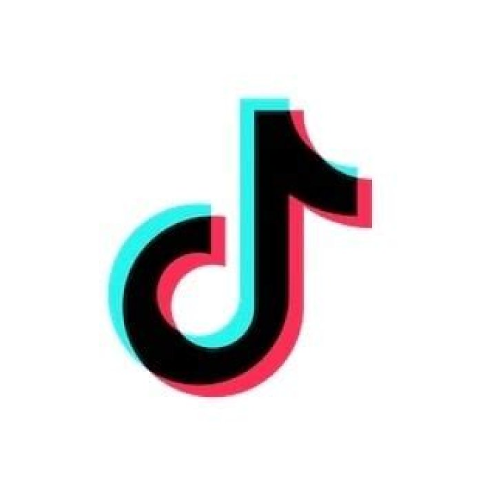 Hannah Lee (TikTok Star) - Trivia, Family, Bio